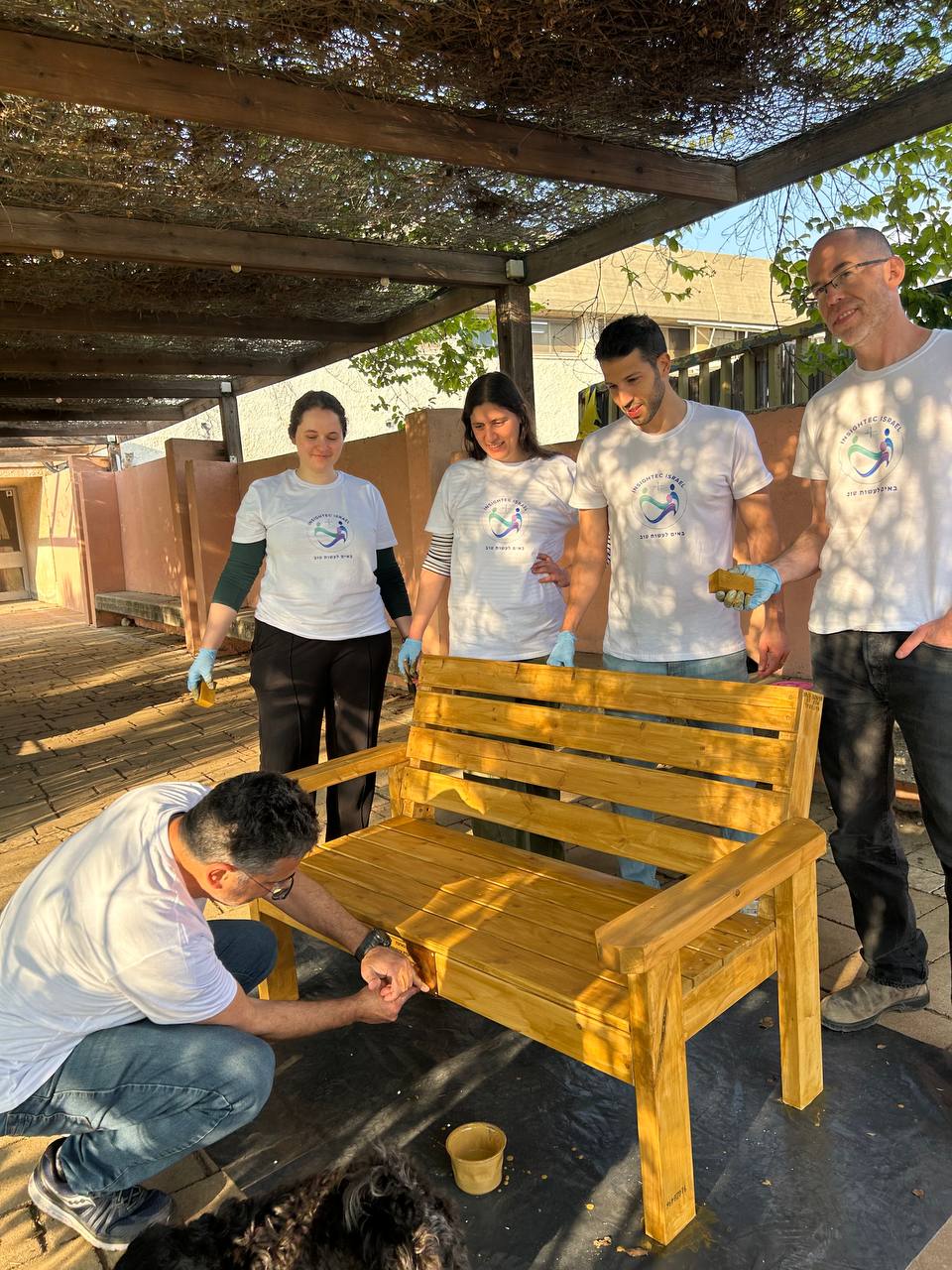 קבוצות וארגונים